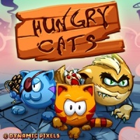 HungryCats-500x500